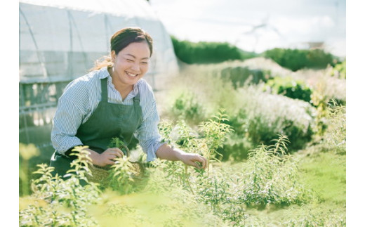 ハーブティー セージセージ 約62杯分(31teabags) _CR08