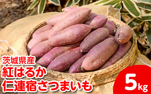 【2025年12月より順次発送】【サイズミックス】茨城県産紅はるか仁連宿さつまいも5kg ｜ さつまいも 薩摩芋 いも 芋 野菜 健康 ヘルシー おやつ スイーツ 食物繊維 生芋 生いも 国産 ギフト 贈答 贈り物 プレゼント 農家直送 産地直送 茨城県 古河市 _FP01