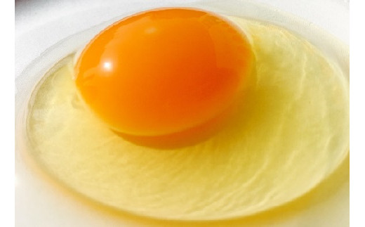 江原ファーム　体に優しい地養卵 ５０個 割れ補償 | 卵 50個 赤玉 玉子 たまご タマゴ 生卵 鶏卵 生みたて 産みたて 地養卵 新鮮 濃厚 健康 TKG たまごかけごはん ご飯のお供 国産 ギフト 贈答 贈り物 お中元 お歳暮 プレゼント 茨城県 古河市 直送 農家直送 産地直送 _AG04