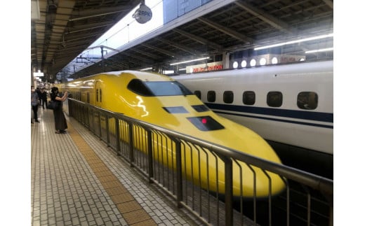 チップスター極　東海道・山陽新幹線限定 海の精焼き塩使用しお味＆東海道新幹線限定 伊勢えび味　12本セット ※着日指定不可 | 菓子 お菓子 ポテトチップス おかし おやつ おつまみ つまみ スナック スナック菓子 ポテチ チップス チップスター YBC スイーツ ご家庭用 手土産 ギフト 贈答 贈り物 プレゼント お中元 お歳暮 夏休み 冬休み 茨城県 古河市 地域限定 送料無料 _FA03