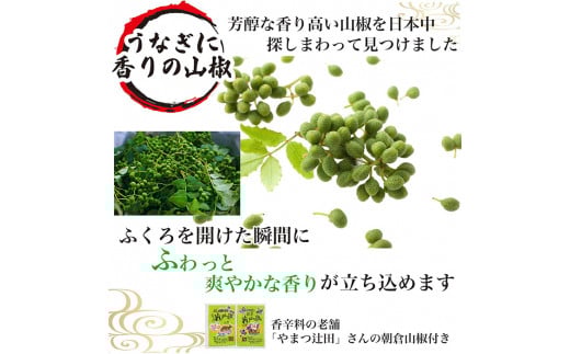 うなぎ蒲焼3人前（1人前約160g×3）贈答用パッケージ｜うなぎ 鰻 ウナギ 480グラム 国産 かば焼き 蒲焼き 蒲焼 うな重 ひつまぶし たれ 山椒 人気 おすすめ 取り寄せ お取り寄せ グルメ 惣菜 贈答 贈り物 プレゼント お中元 お歳暮 御歳暮 茨城県 古河市 直送 店舗直送 送料無料 _AT03