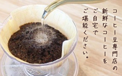コーヒー豆セット コーヒー豆 飲み比べ ドリップバッグ 1袋13g×5種詰合せ ユニバース珈琲 《30日以内に出荷予定(土日祝除く)》 コーヒー 豆 セット コロンビア グアテマラ モカ スペシャルレンド ブラジル 飲み比べ【配送不可地域あり】(沖縄・離島) 