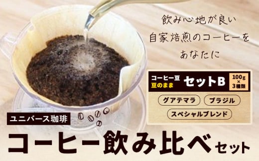 コーヒー豆セット セットB 豆のまま グアテマラ スペシャルブレンド ブラジル (各100g) ユニバース珈琲 《30日以内に出荷予定(土日祝除く)》 コーヒー 豆 セット 飲み比べ【配送不可地域あり】(沖縄・離島)