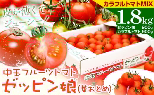 中玉フルーツトマト ゼッピン娘 900g カラフルトマト 900g 計1.8kg《10月中旬〜5月末頃出荷》 希少な品種 華おとめ 甘い 野菜 結城市産 ゼッピン娘 華おとめ 中玉品種 皮が薄い 薄皮 サラダ 前菜 食材 料理
