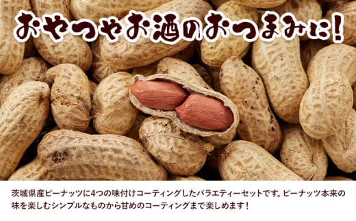 【水川商店謹製】ピーナツ豆菓子 4種 セット 大柿 ココア チーズ 味付き 株式会社TMO結城《30日以内に出荷予定(土日祝除く)》 茨城県 結城市 おつまみ つまみ 柿ピー おやつ 詰合せ 豆類