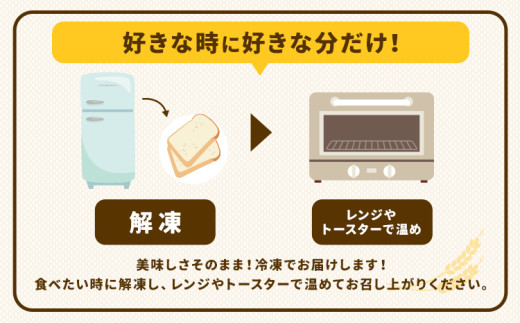 ばくto Pan バラエティセット B 10種類 14個 （くるみパンオブザイヤー2020グランプリ受賞店） 《90日以内に出荷予定(土日祝除く)》 茨城県 結城市 パン 食パン ベーカリー ディニッシュ クロワッサン 【配送不可地域あり】（沖縄・離島）