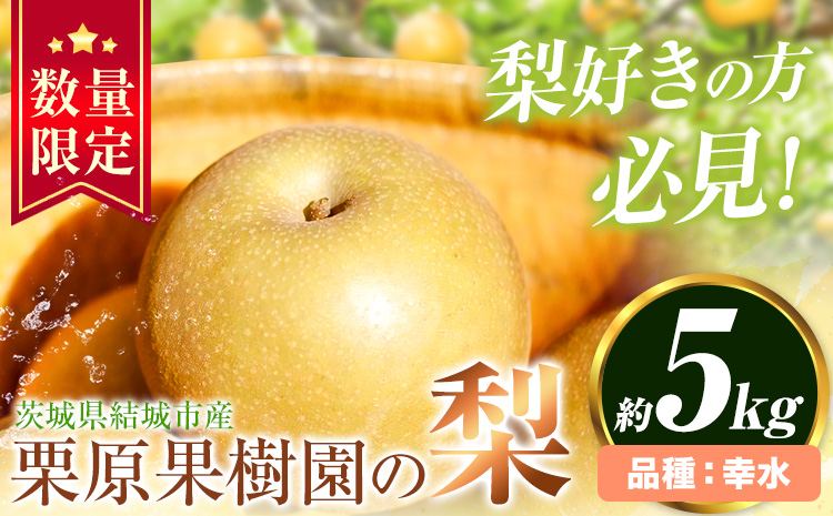 【先行予約】栗原果樹園 梨 5kg  幸水 《8月上旬-8月下旬頃出荷予定》茨城県 結城市 なし 梨 フルーツ 旬 果物 【配送不可地域あり】(離島)
