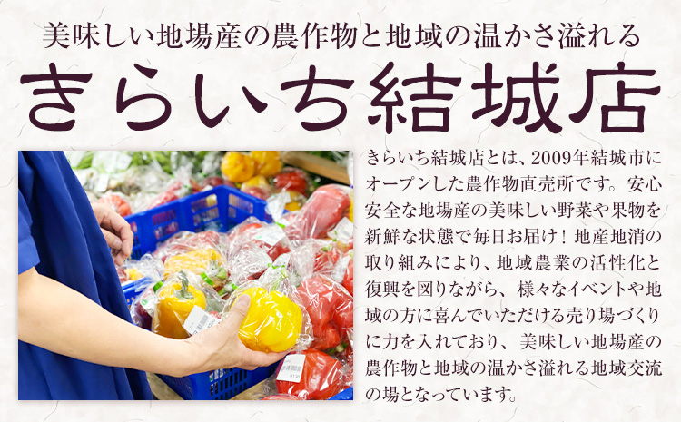 ローズポーク ロース 切身 600g きらいち結城店《90日以内に出荷予定(土日祝除く) 》茨城県 結城市 お肉 肉 豚肉 豚 薄切り 国産 国産豚 豚カツ ソテー 味噌漬け