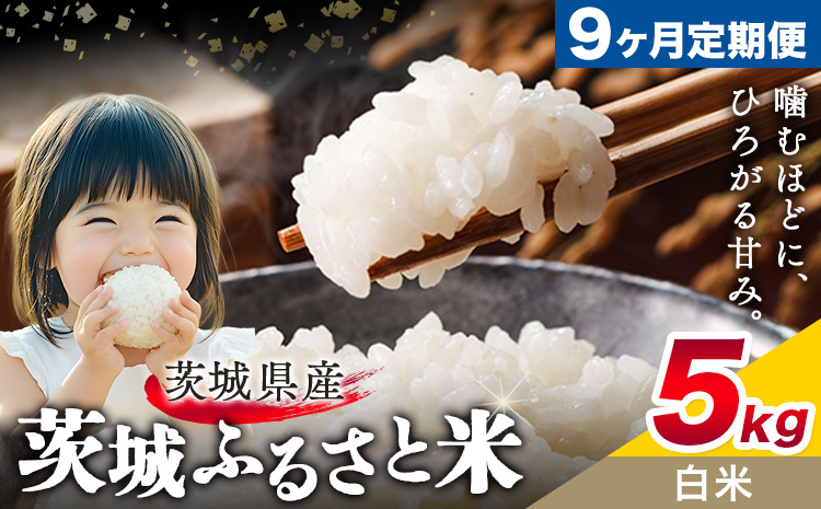 米 茨城 ふるさと米 白米 5kg 5kg×1袋 9回お届け 定期便《申込月の翌月から出荷開始》茨城県 結城市 米 国産 お米 おこめ お弁当 おにぎり
