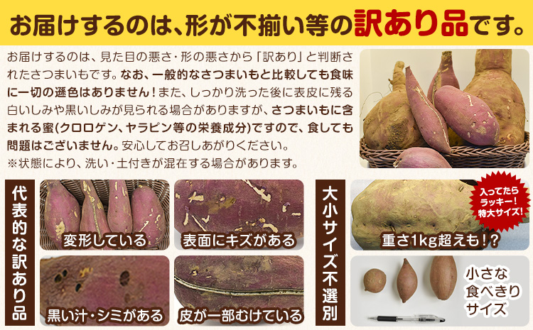 さつまいも 茨城県産 こだわり農家の訳ありさつまいも 約5kg 茨城県結城市産 サイズ不選別 品種おまかせ 《1月上旬-3月上旬頃出荷》茨城県 結城市 ご家庭用 お芋 訳あり 紅はるか シルクスイート あまはずき 栗かぐや 品種 お任せ いも 芋