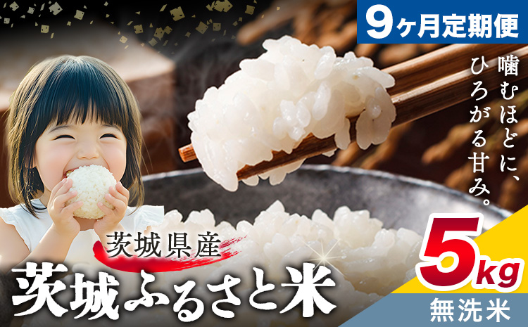 米 茨城 ふるさと米 無洗米 5kg 5kg×1袋 9回お届け 定期便《申込月の翌月から出荷開始》茨城県 結城市 米 国産 お米 おこめ お弁当 おにぎり
