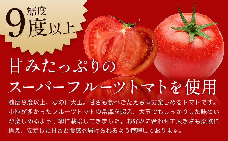 ビール クラフトビール トマト TOMATO ALE 330ml × 3本 《30日以内に出荷予定(土日祝除く)》 QUADRA BREWING ＆ GARAGE 茨城県 結城市 お酒 酒 とまと 結城市産