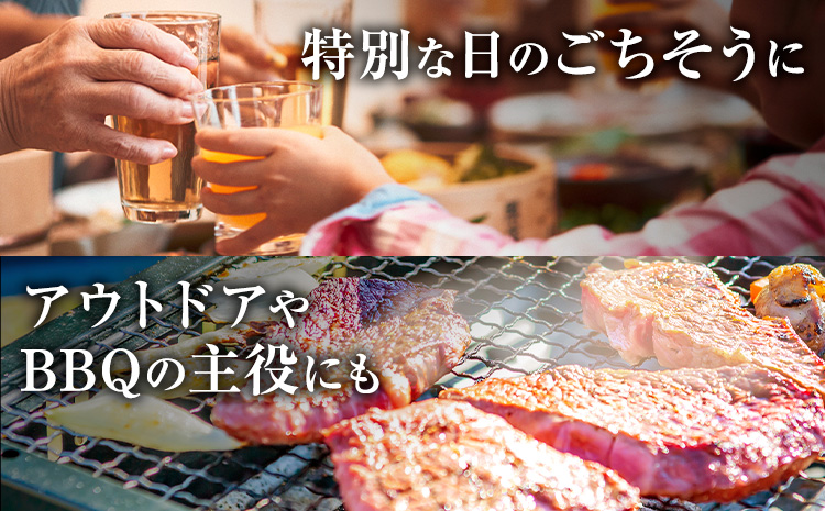 常陸牛 黒毛和牛 ロース ステーキ 750g ファーマーズマーケットきらいち《90日以内に出荷予定(土日祝除く) 》茨城県 結城市 お肉 肉 和牛 国産 国産牛 牛肉 ブランド牛 焼肉 バーベキュー