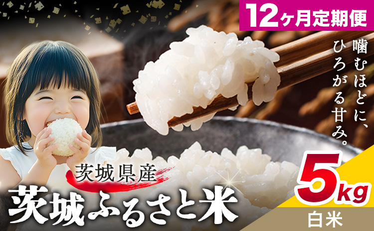 米 茨城 ふるさと米 白米 5kg 5kg×1袋 12回お届け 定期便《申込月の翌月から出荷開始》茨城県 結城市 米 国産 お米 おこめ お弁当 おにぎり