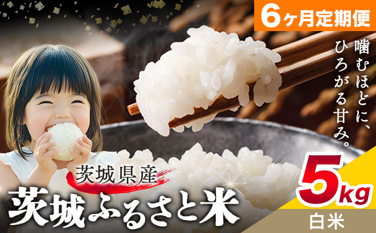 米 茨城 ふるさと米 白米 5kg 5kg×1袋 6回お届け 定期便《申込月の翌月から出荷開始》茨城県 結城市 米 国産 お米 おこめ お弁当 おにぎり
