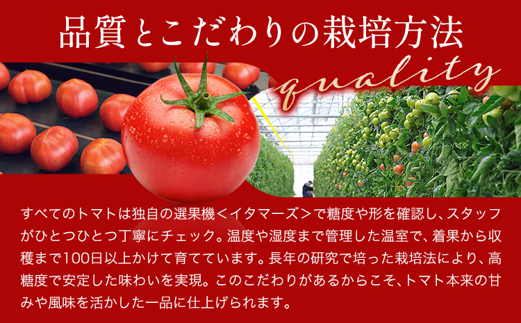 ビール クラフトビール トマト TOMATO ALE 330ml × 3本 《30日以内に出荷予定(土日祝除く)》 QUADRA BREWING ＆ GARAGE 茨城県 結城市 お酒 酒 とまと 結城市産