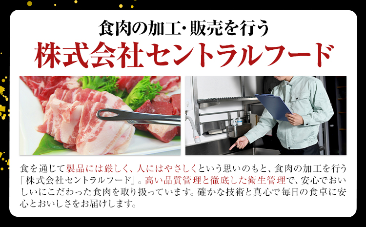 茨城県産 豚肉 ロース スライス  500g 1パック 500g 株式会社セントラルフード 《60日以内に出荷予定(土日祝除く)》肉 豚肉 ロース 国産 スライス 生姜焼き 茨城県 結城市