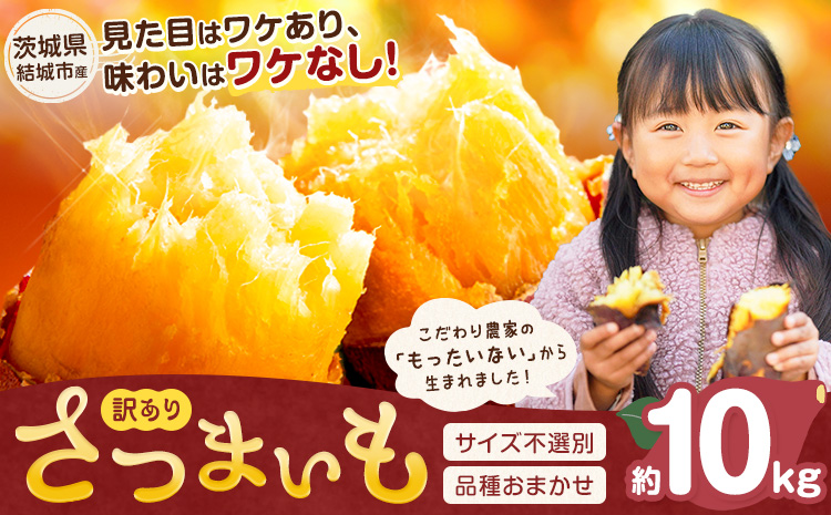 さつまいも 茨城県産 こだわり農家の訳ありさつまいも 約10kg 茨城県結城市産 サイズ不選別 品種おまかせ 《1月上旬-3月上旬頃出荷》茨城県 結城市 ご家庭用 お芋 訳あり 紅はるか シルクスイート あまはずき 栗かぐや 品種 お任せ いも 芋