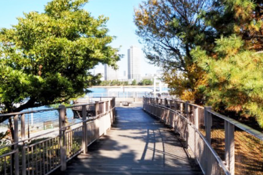 安全で住みやすさを実感できるまちづくり（都市・環境）