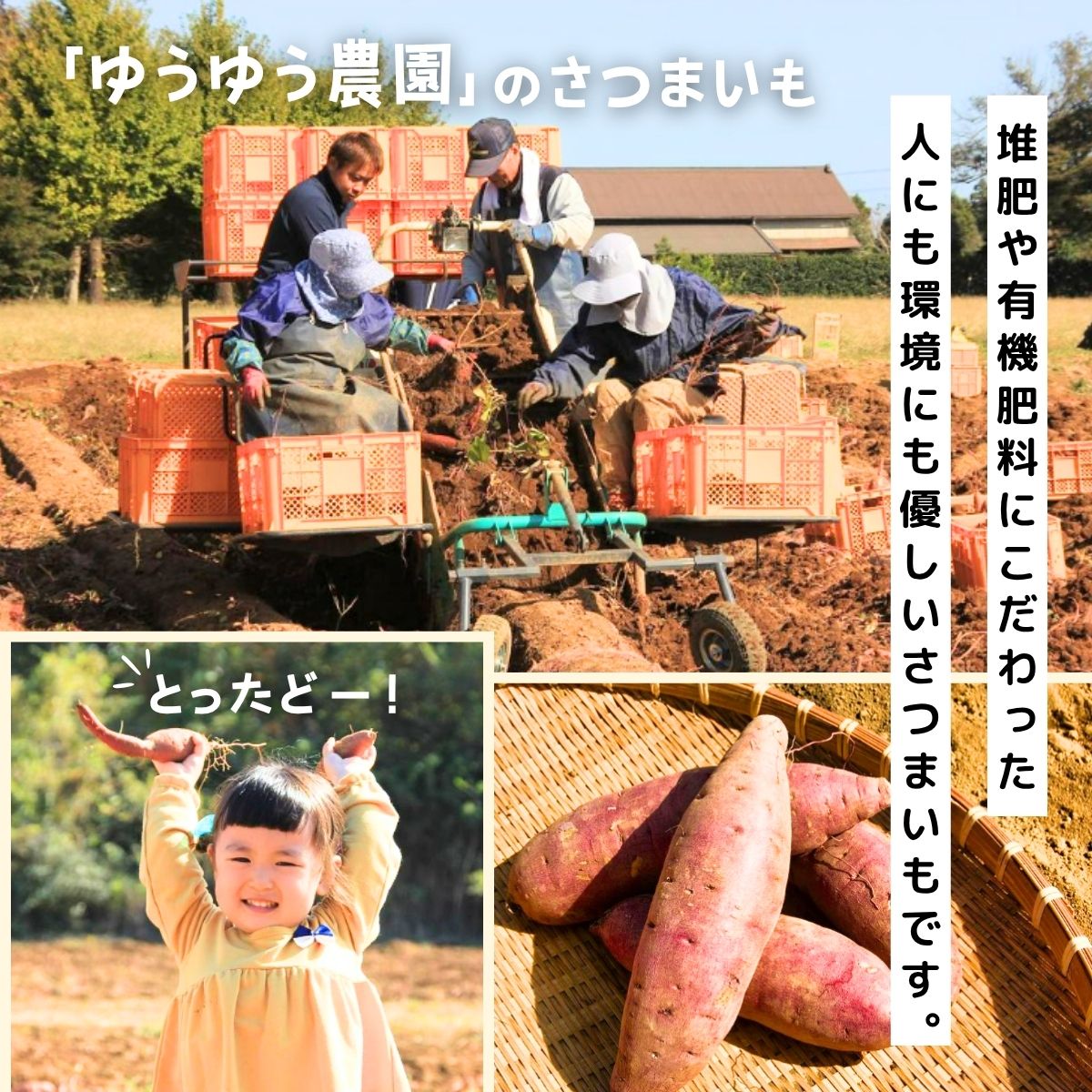 【定期便3回】【訳あり】ゆうゆう農園の焼き芋 冷凍 2kg | 焼芋 焼いも やきいも さつまいも サツマイモ ねっとり スイーツ おやつ ゆうゆう農園 茨城県 龍ケ崎市