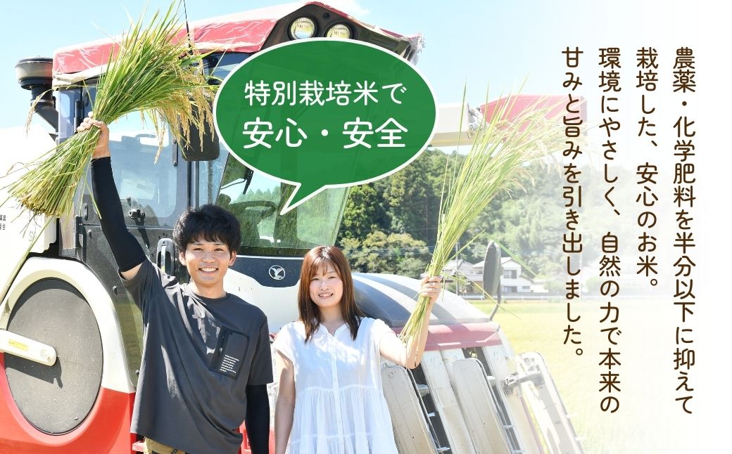 ＜定期便3回＞【令和7年産】龍ケ崎の特別栽培米 コシヒカリ 10kg(5kg×2袋) | こしひかり お米 米 こめ 白米 精米 特別栽培米 冷めてもおいしい 美味しい こだわり おにぎり 茨城県 龍ケ崎市産