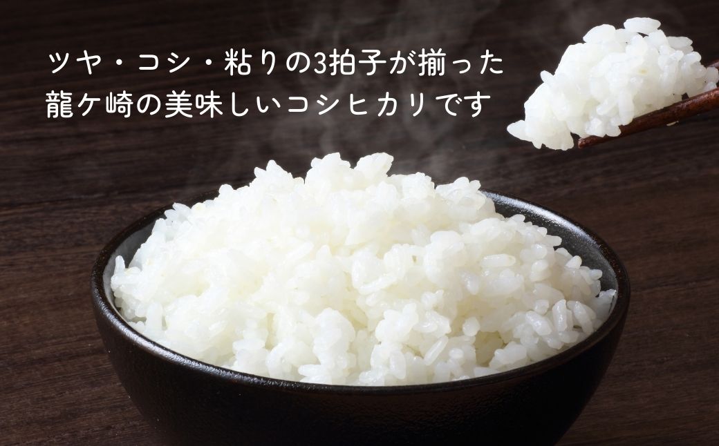 ＜3ヵ月定期便＞【令和7年産】龍ケ崎の特別栽培米 コシヒカリ 5kg | こしひかり お米 米 こめ 白米 精米 特別栽培米 冷めてもおいしい 美味しい こだわり おにぎり 茨城県 龍ケ崎市産