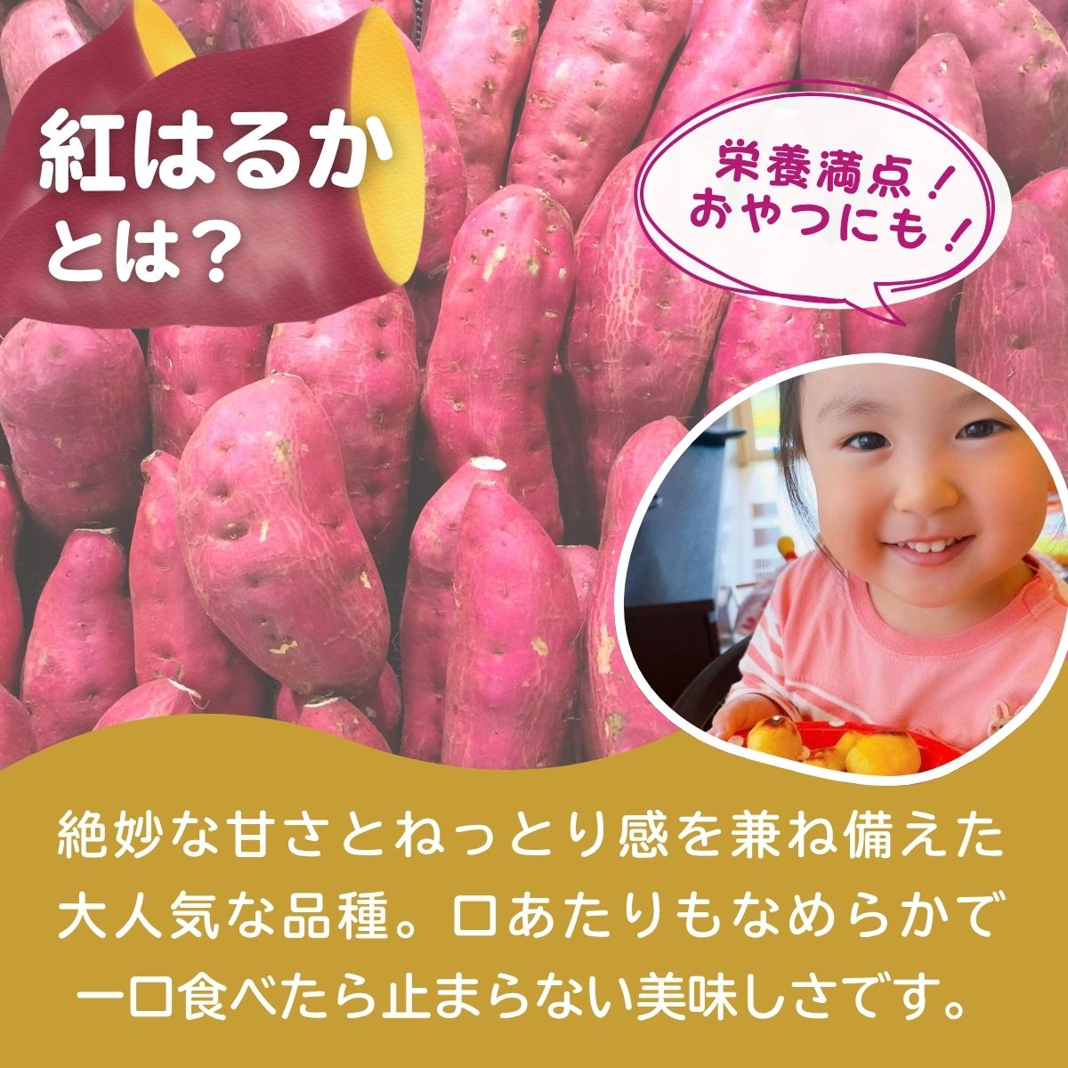 ãå®æäŸ¿6åããèš³ããããããã蟲åã®çŒãè å·å 3kg | çŒè çŒãã ãããã ãã€ãŸãã ãµããã€ã¢ ãã£ãšã ã¹ã€ãŒã ãã〠ãããã蟲å èšåç éŸã±åŽåž