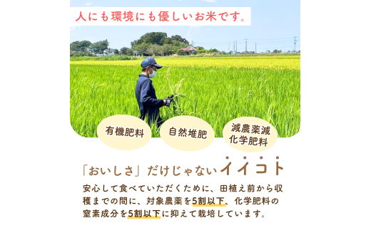 コシヒカリ 白米 10kg 特別栽培米『山田のややこ』 令和6年産 【茨城県共通返礼品・河内町産】 | コシヒカリ 有機肥料 こしひかり 米 お米 白米 精米 特別栽培米 ごはん ご飯 コシヒカリ 稲作一筋 農薬を抑えた こしひかり 特別栽培認証 コシヒカリ 減農薬 厳選米 茨城県産 こしひかり 農家直送 産地直送 国産 ブランド米 甘みが強い ふっくら 艶やか 茨城県 龍ケ崎市