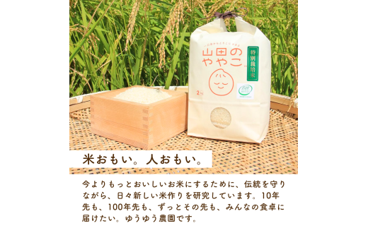 コシヒカリ 白米 10kg 特別栽培米『山田のややこ』 令和6年産 【茨城県共通返礼品・河内町産】 | コシヒカリ 有機肥料 こしひかり 米 お米 白米 精米 特別栽培米 ごはん ご飯 コシヒカリ 稲作一筋 農薬を抑えた こしひかり 特別栽培認証 コシヒカリ 減農薬 厳選米 茨城県産 こしひかり 農家直送 産地直送 国産 ブランド米 甘みが強い ふっくら 艶やか 茨城県 龍ケ崎市