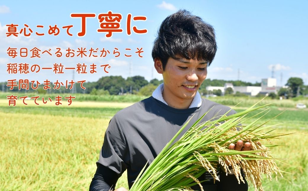 ＜3ヵ月定期便＞【令和7年産】龍ケ崎の特別栽培米 コシヒカリ 5kg | こしひかり お米 米 こめ 白米 精米 特別栽培米 冷めてもおいしい 美味しい こだわり おにぎり 茨城県 龍ケ崎市産