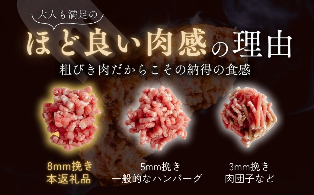 【定期便12回】本格デミグラス ハンバーグ 180g×13個 計2.3kg | 冷凍 小分け ハンバーグ デミグラスソース 牛 豚 惣菜 お弁当 おかず 粗びき レンジ レンチン 温めるだけ 簡単調理 小分け 茨城県 龍ケ崎市