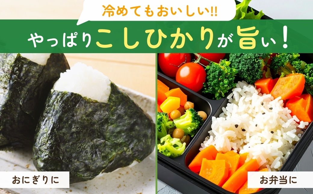 ＜3ヵ月定期便＞【令和7年産】龍ケ崎の特別栽培米 コシヒカリ 5kg | こしひかり お米 米 こめ 白米 精米 特別栽培米 冷めてもおいしい 美味しい こだわり おにぎり 茨城県 龍ケ崎市産