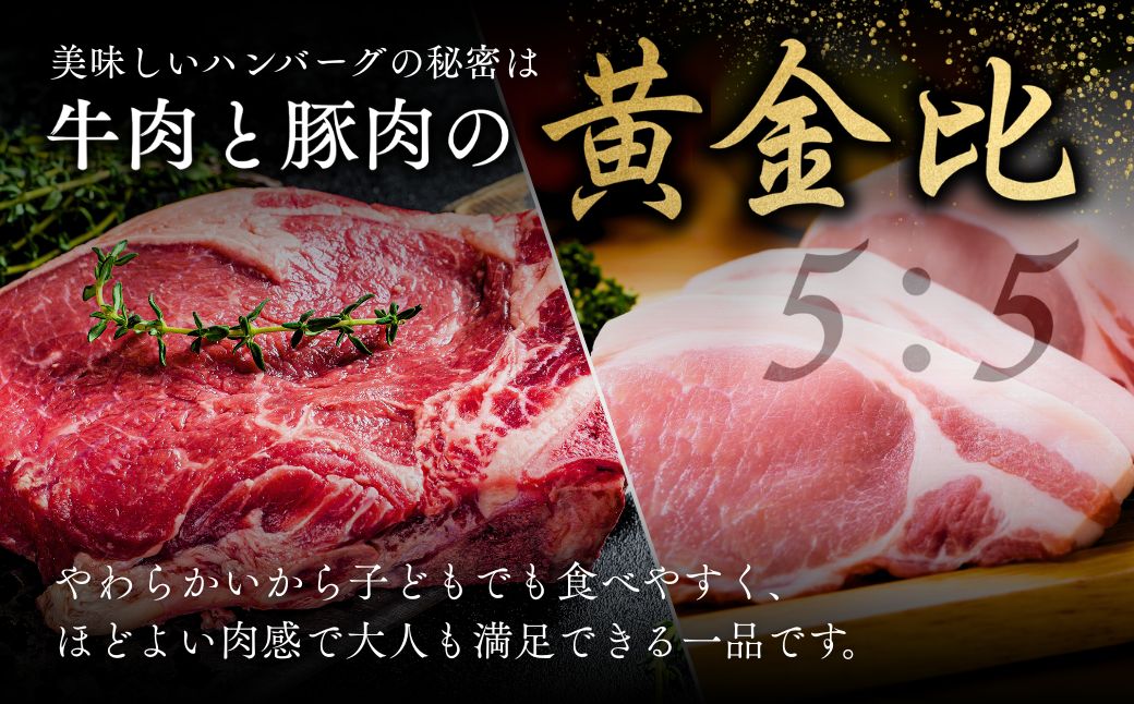 【定期便3回】本格デミグラス ハンバーグ 180g×25個 計3.4kg | 冷凍 小分け ハンバーグ デミグラスソース 牛 豚 惣菜 レンジ レンチン 湯煎 温めるだけ 簡単調理 小分け 茨城県 龍ケ崎市
