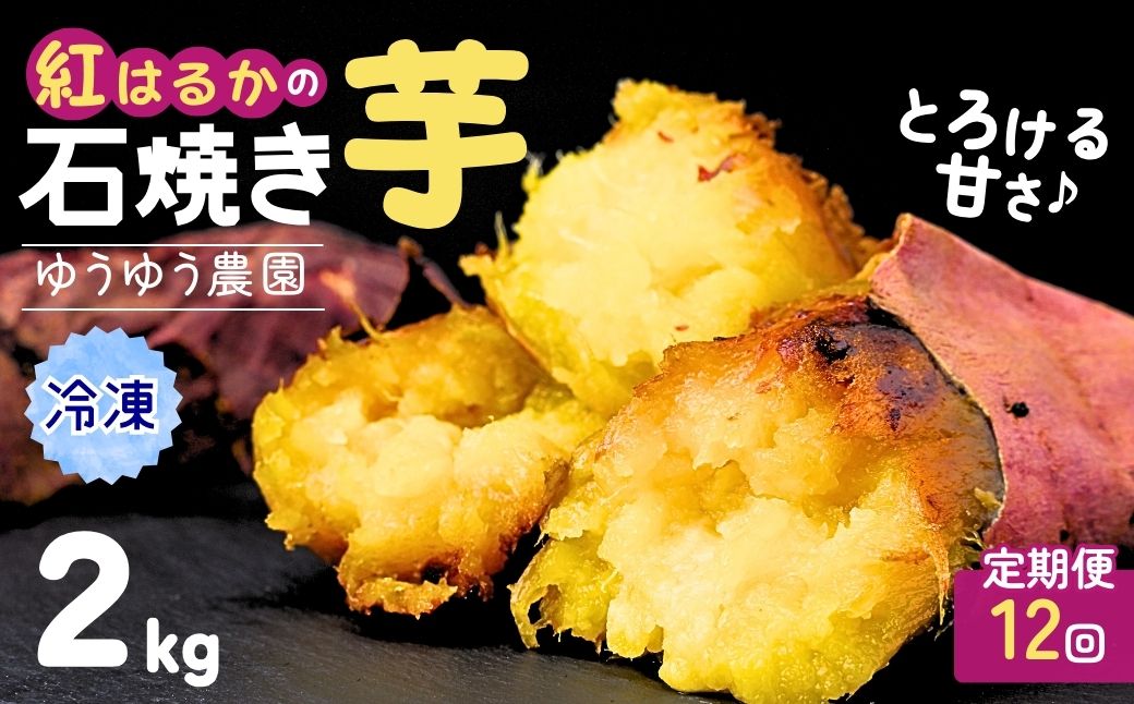 【定期便12回】【訳あり】ゆうゆう農園の焼き芋 冷凍 2kg | 焼芋 焼いも やきいも さつまいも サツマイモ ねっとり スイーツ おやつ ゆうゆう農園 茨城県 龍ケ崎市