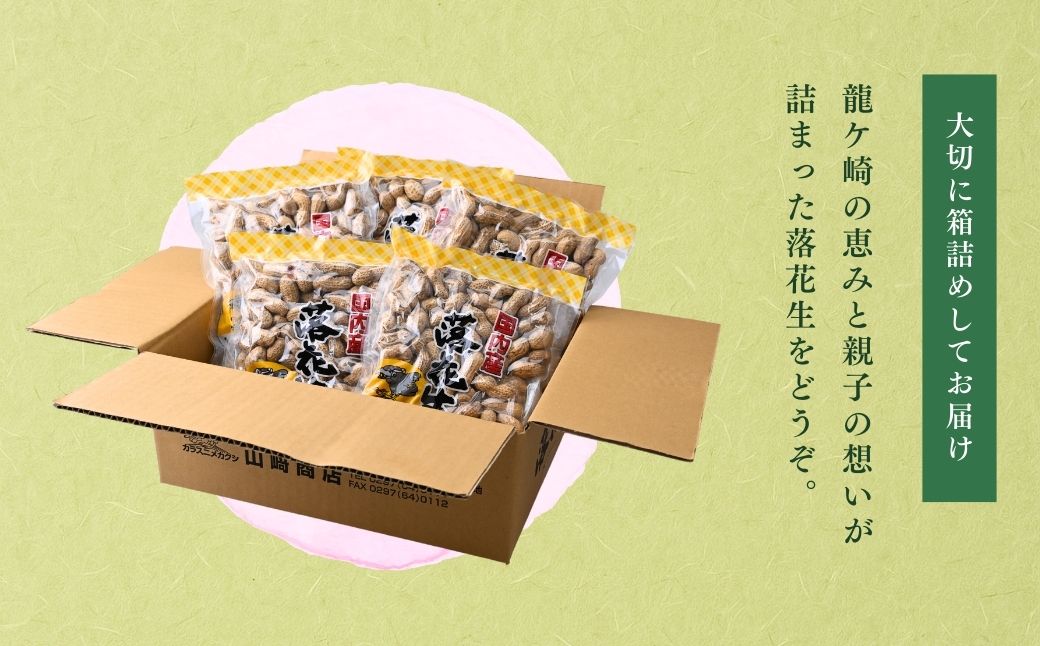 龍ケ崎産殻付き落花生 ナカテユタカ 900g(180g×5袋) | 落花生 ピーナッツ ピーナツ ナッツ 国産 殻付き おやつ お菓子 おつまみ お取り寄せ ヘルシー 健康 国産 茨城 特産品 農園 自家栽培 ビールのお供 野菜 豆 農家直送 お土産 贈り物 ギフト プチギフト 茨城県 龍ケ崎市