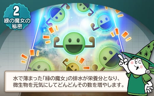 環境配慮型洗剤緑の魔女バス5L×3セット | 洗剤 液体 環境配慮 バス用 浴槽 湯あか 大容量 1万件以上の口コミ 世界中で愛される ヌメリ 皮脂汚れ 中性タイプ 日常品 お風呂洗剤 バス用洗剤 大容量 業務用 口コミ人気 人気 湯あか 防カビ 中性 手にやさしい 茨城県 龍ケ崎市