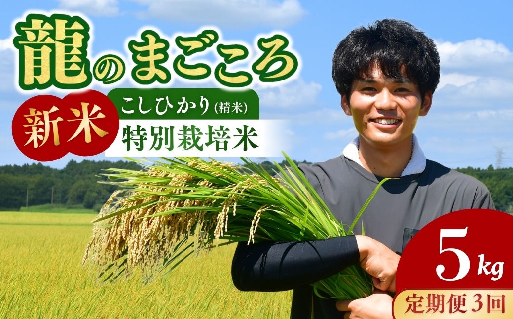 ＜3ヵ月定期便＞【令和7年度新米】龍ケ崎の特別栽培米 コシヒカリ 5kg | こしひかり お米 米 こめ 白米 精米 新米 特別栽培米 冷めてもおいしい 美味しい こだわり おにぎり 茨城県 龍ケ崎市産