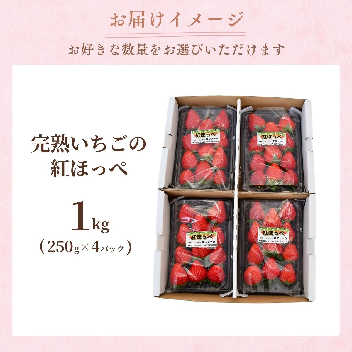 【1月下旬発送】甘熟いちごの紅ほっぺ 1kg (250g×4パック) | いちご 苺 イチゴ 紅ほっぺ べにほっぺ 甘い 完熟 完熟いちご 濃厚 果物 フルーツ おやつ デザート ストロベリー パフェ いちご大福 ショートケーキ いちごサンド フルーツサンド ジュース スムージー ショートケーキ ヨーグルト ギフト 贈答 贈り物 新鮮 期間限定 季節限定 茨城県 龍ケ崎市