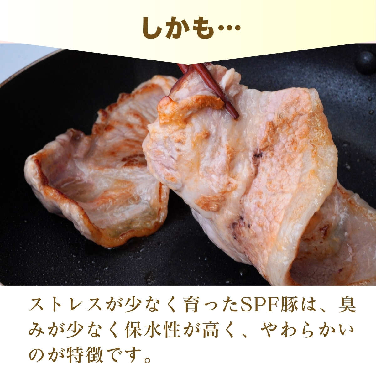 茨城県産のお米を食べて育った常陽さん家の美味豚(SPF豚)ロース＆バラ肉セット 焼肉用 2kg  | 国産 ロース ロース肉 豚ロース 豚バラ バラ 豚バラ肉 豚 SPF SPF豚 豚肉 焼肉 セット バーベキュー しゃぶしゃぶ 肉 にく 肉類 ポーク こだわり やわらか お米育ち 安心 安全 人気 お取り寄せグルメ お取り寄せ グルメ おすすめ 茨城県 龍ケ崎市