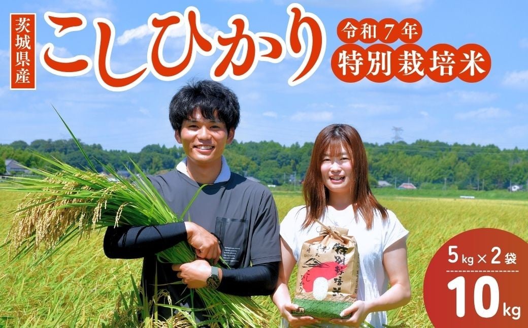 【令和7年度新米】龍ケ崎の特別栽培米 コシヒカリ 10kg(5kg×2袋) | こしひかり お米 米 こめ 白米 精米 新米 特別栽培米 冷めてもおいしい 美味しい こだわり おにぎり 茨城県 龍ケ崎市産