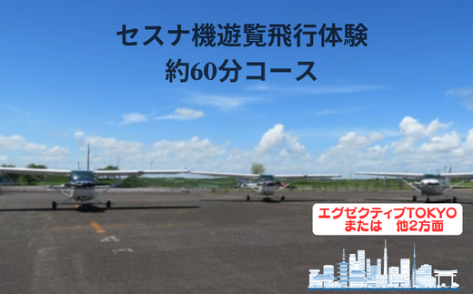 ＜ペア＞セスナ機遊覧飛行体験〈約60分コース〉(フライトN・O・P)【遊覧飛行 体験 フライト 旅行 利用券 体験 国内 トラベル チケット 飛行  グライダー ペア体験 空旅 レジャー 観光 ギフト プレゼント 贈り物】