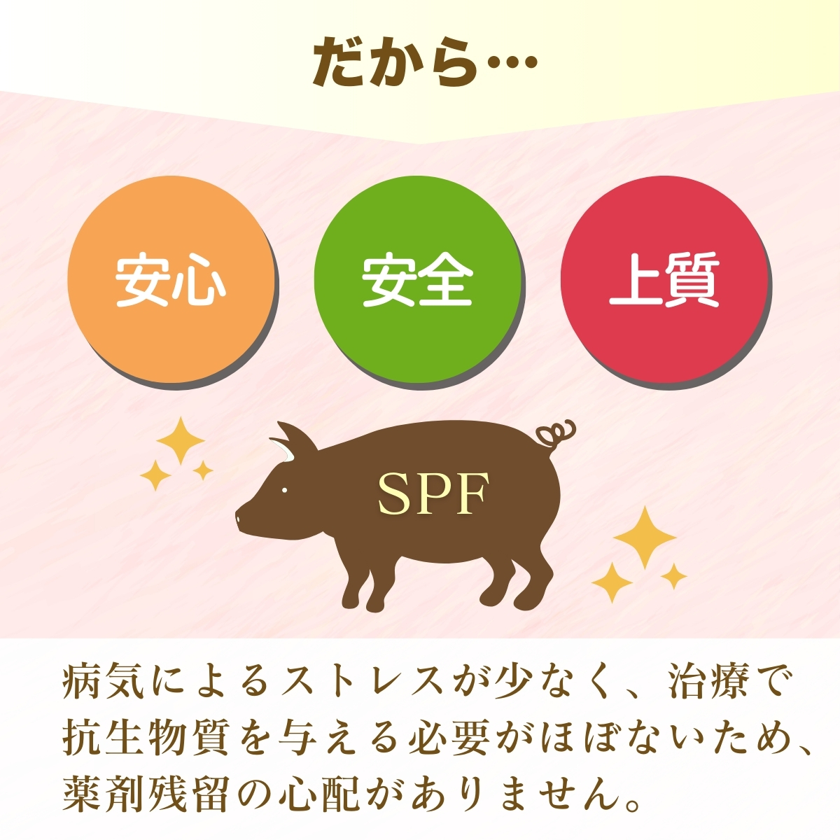 茨城県産のお米を食べて育った常陽さん家の美味豚(SPF豚)ロース 焼肉用 2kg  | 国産 ロース ロース肉 豚ロース 豚 SPF SPF豚 豚肉 焼肉 バーベキュー しゃぶしゃぶ 肉 にく 肉類 ポーク こだわり やわらか お米育ち 安心 安全 人気 お取り寄せグルメ お取り寄せ グルメ おすすめ 茨城県 龍ケ崎市