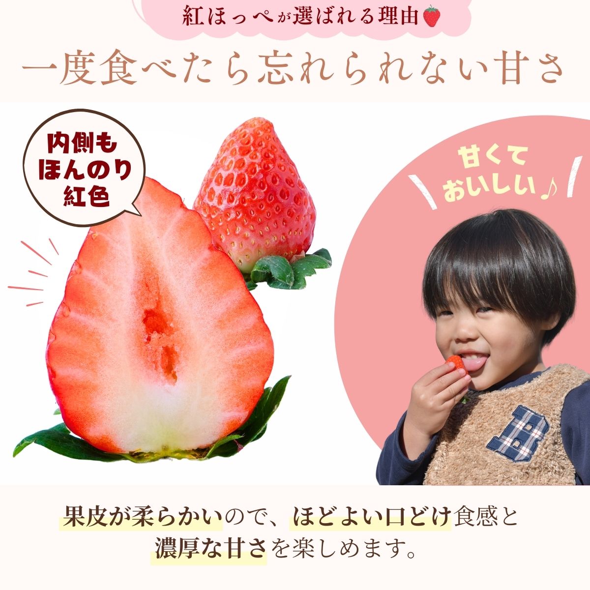 【1月下旬発送】甘熟いちごの紅ほっぺ 1kg (250g×4パック) | いちご 苺 イチゴ 紅ほっぺ べにほっぺ 甘い 完熟 完熟いちご 濃厚 果物 フルーツ おやつ デザート ストロベリー パフェ いちご大福 ショートケーキ いちごサンド フルーツサンド ジュース スムージー ショートケーキ ヨーグルト ギフト 贈答 贈り物 新鮮 期間限定 季節限定 茨城県 龍ケ崎市