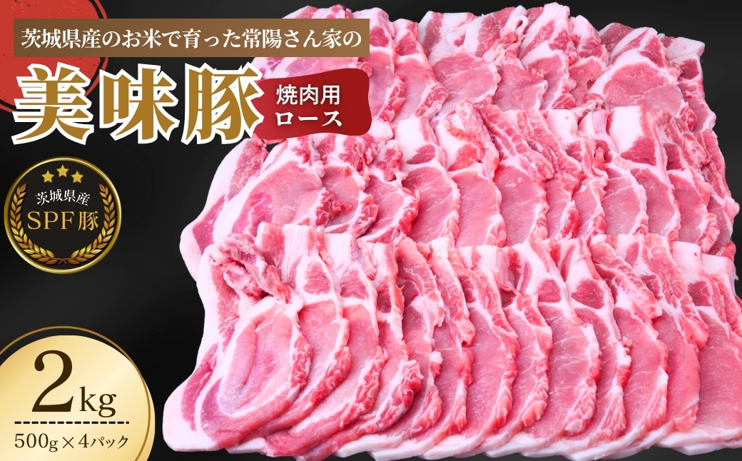 茨城県産のお米を食べて育った常陽さん家の美味豚(SPF豚)ロース 焼肉用 2kg  | 国産 ロース ロース肉 豚ロース 豚 SPF SPF豚 豚肉 焼肉 バーベキュー しゃぶしゃぶ 肉 にく 肉類 ポーク こだわり やわらか お米育ち 安心 安全 人気 お取り寄せグルメ お取り寄せ グルメ おすすめ 茨城県 龍ケ崎市