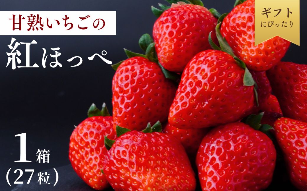 【1月下旬発送】甘熟いちごの紅ほっぺ 選べる数量 1箱 (27粒) | いちご 苺 イチゴ 紅ほっぺ べにほっぺ 甘い 完熟 完熟いちご 濃厚 果物 フルーツ おやつ デザート ストロベリー パフェ いちご大福 ショートケーキ いちごサンド フルーツサンド ジュース スムージー ショートケーキ ヨーグルト ギフト 贈答 贈り物 新鮮 期間限定 季節限定 茨城県 龍ケ崎市