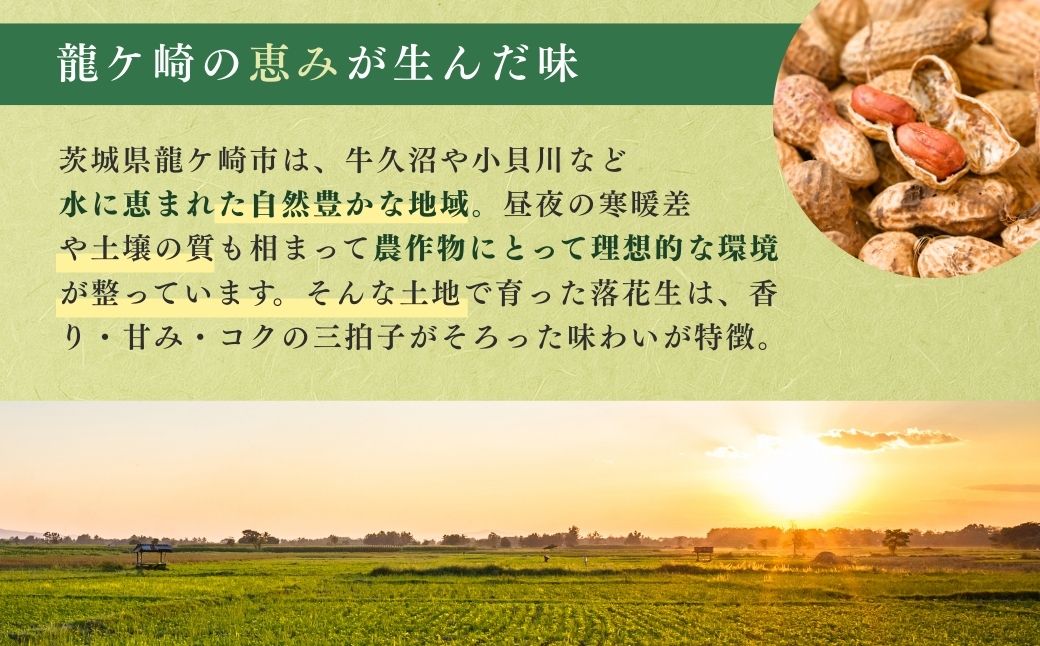 龍ケ崎産殻付き落花生 ナカテユタカ 900g(180g×5袋) | 落花生 ピーナッツ ピーナツ ナッツ 国産 殻付き おやつ お菓子 おつまみ お取り寄せ ヘルシー 健康 国産 茨城 特産品 農園 自家栽培 ビールのお供 野菜 豆 農家直送 お土産 贈り物 ギフト プチギフト 茨城県 龍ケ崎市
