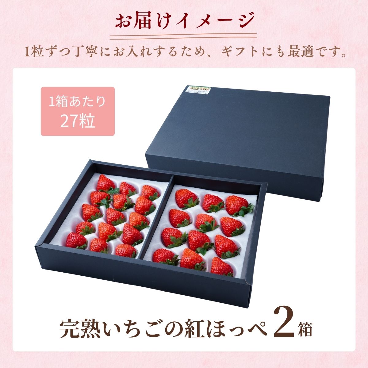 【1月下旬発送】甘熟いちごの紅ほっぺ 選べる数量 2箱 (54粒) | いちご 苺 イチゴ 紅ほっぺ べにほっぺ 甘い 完熟 完熟いちご 濃厚 果物 フルーツ おやつ デザート ストロベリー パフェ いちご大福 ショートケーキ いちごサンド フルーツサンド ジュース スムージー ショートケーキ ヨーグルト ギフト 贈答 贈り物 新鮮 期間限定 季節限定 茨城県 龍ケ崎市