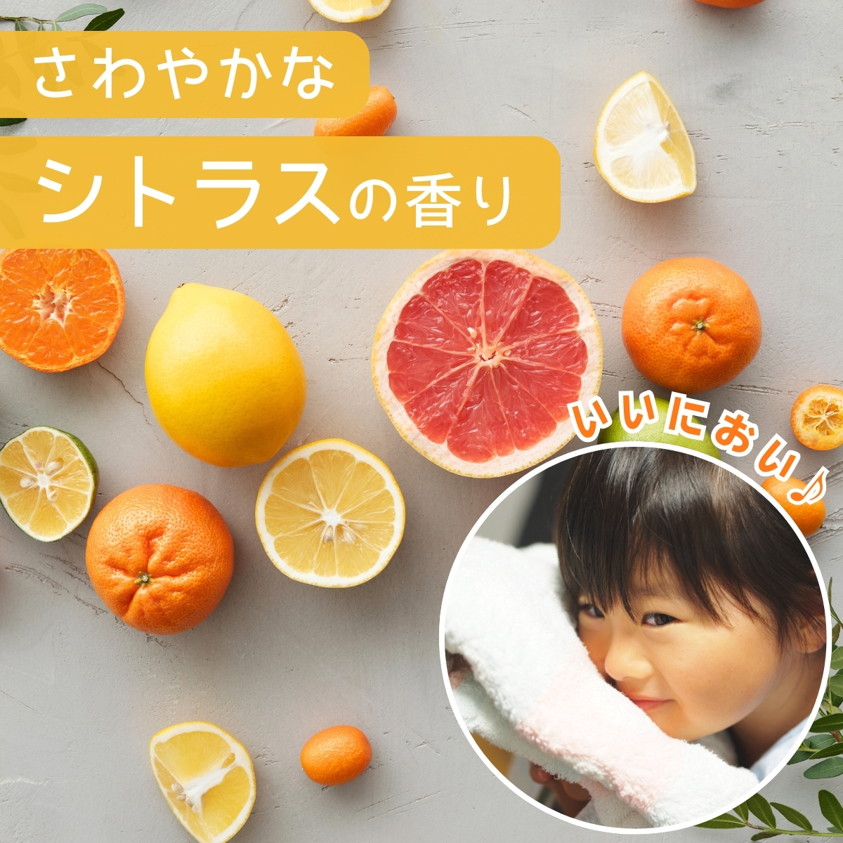 洗濯洗剤 サンブライト 12kg (1.2kg×10個) | 洗濯用 洗濯用洗剤 洗濯洗剤 粉末洗濯 粉末 環境配慮 洗濯 詰め替え 大容量 業務用 衣類洗剤 衣類 長持ち 日常品 洗浄 エコ洗剤 泡切れが良い ランドリー 店舗用 エコ すすぎ１回 節水 節約 茨城県 龍ケ崎市