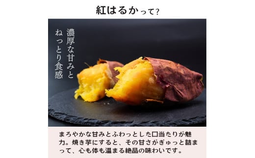 ＜6ヵ月定期便＞【訳あり】ねっとり甘い 紅はるかの冷凍石焼き芋1.5kg 全6回 | 茨城県 龍ケ崎市冷凍焼き芋 やきいも 焼き芋 焼いも スイーツ ダイエット 小分け ギフト プレゼント 国産 無添加 茨城県産 さつまいも サツマイモ お芋 いも おやつ 干し芋 石焼き芋 紅はるか シルクスイート 紅はるか ねっとり 甘い 完熟 熟成 冷凍 冷やし焼き芋 訳あり
