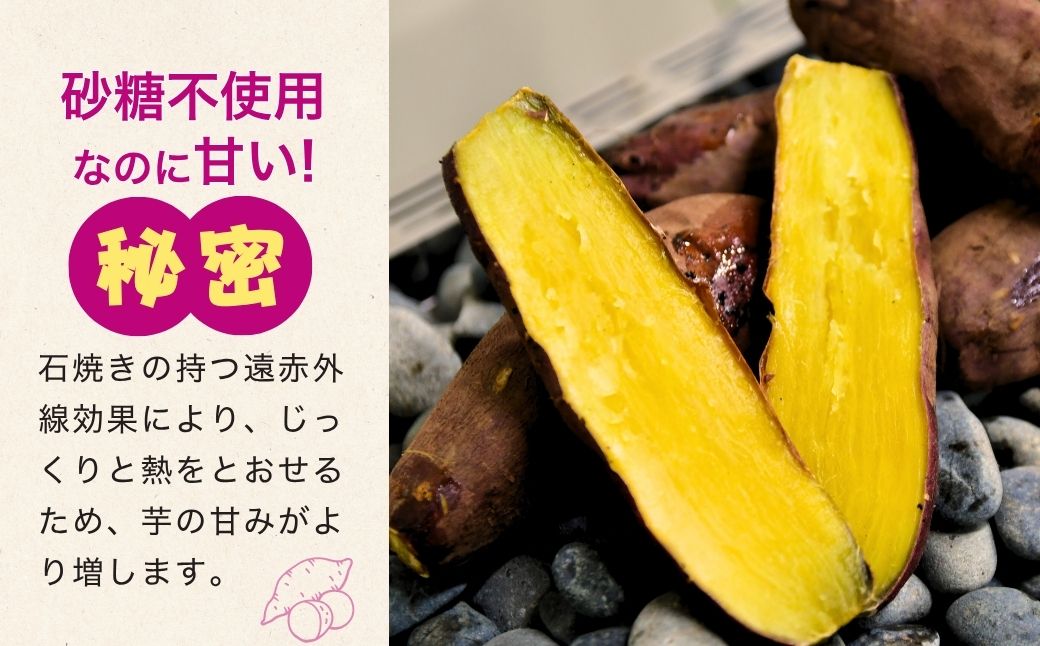 カップで食べる濃厚石焼き芋 6個 (合計750g) | 冷凍焼き芋 スイーツ ダイエット 小分け ギフト プレゼント 国産 無添加 茨城県産 さつまいも サツマイモ お芋 いも おやつ 干し芋 石焼き芋 紅はるか シルクスイート 紅はるか ねっとり 甘い 完熟 熟成 冷凍 冷やし焼き芋